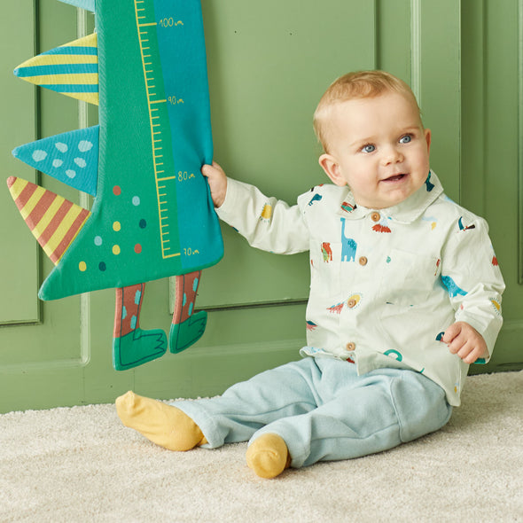 PANNELLO DINOSAUR MEASURER