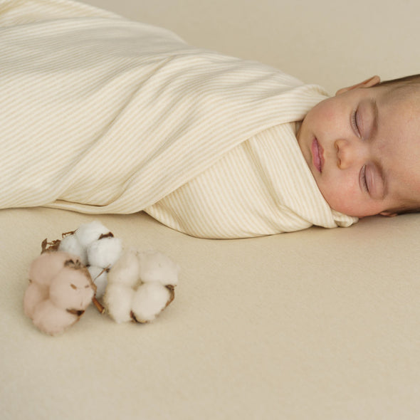 PUREST COTTON KNIT STRIPES ECRU' BROWN