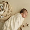 PUREST COTTON KNIT STRIPES ECRU' BROWN