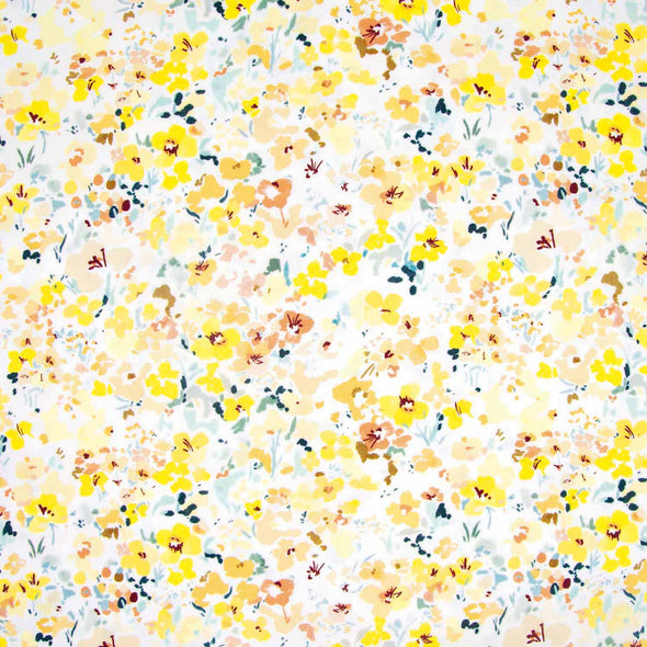 ECOVISCOSA CANOLAS LANDSCAPE